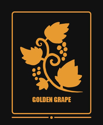 Golden Grapes 2024 archive photo