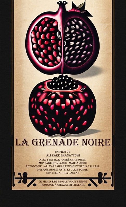 The Black Pomegranate poster