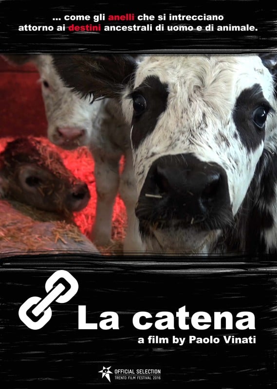 The chain - La catena poster