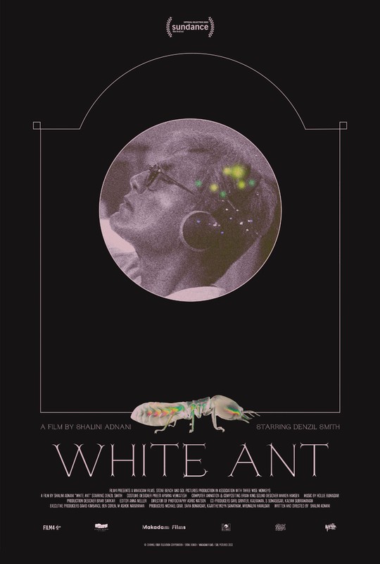 White Ant poster