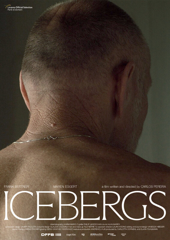 Icebergs poster