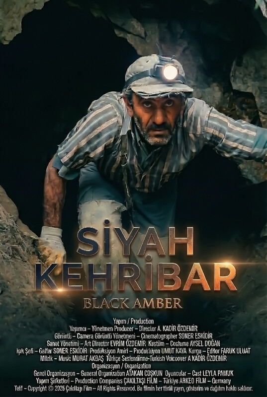 Black Amber poster